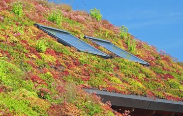 Calder Mains living roof systems