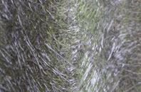 Calder Mains fibreglass roof work